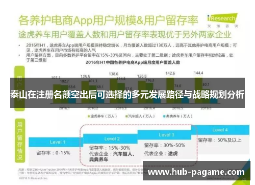 泰山在注册名额空出后可选择的多元发展路径与战略规划分析 泰山在注册名额空出后可选择的多元发展路径与战略规划分析