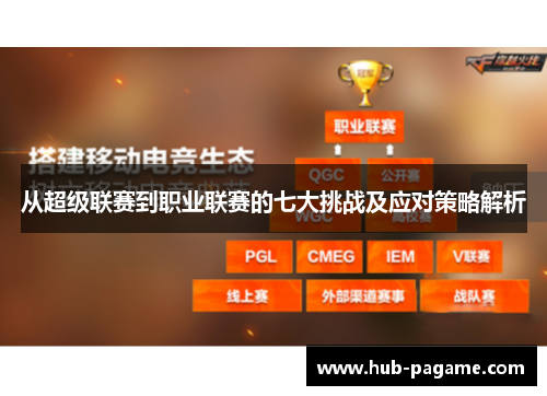从超级联赛到职业联赛的七大挑战及应对策略解析