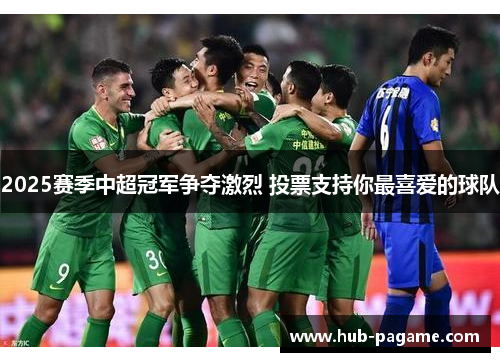 2025赛季中超冠军争夺激烈 投票支持你最喜爱的球队 2025赛季中超冠军争夺激烈 投票支持你最喜爱的球队
