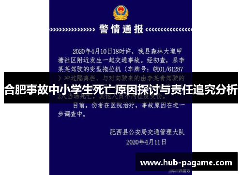 合肥事故中小学生死亡原因探讨与责任追究分析 合肥事故中小学生死亡原因探讨与责任追究分析